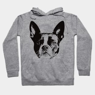 Boston gift for Boston Terrier Owners Hoodie